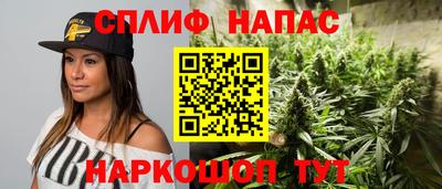 Альфа ПВП Камышлов