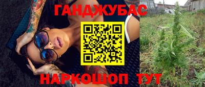 Альфа ПВП Камышлов