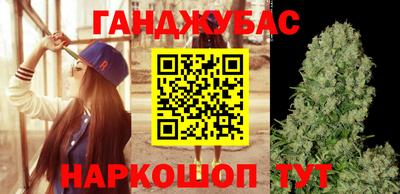 Альфа ПВП Камышлов