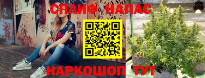 МДПВ Канаш