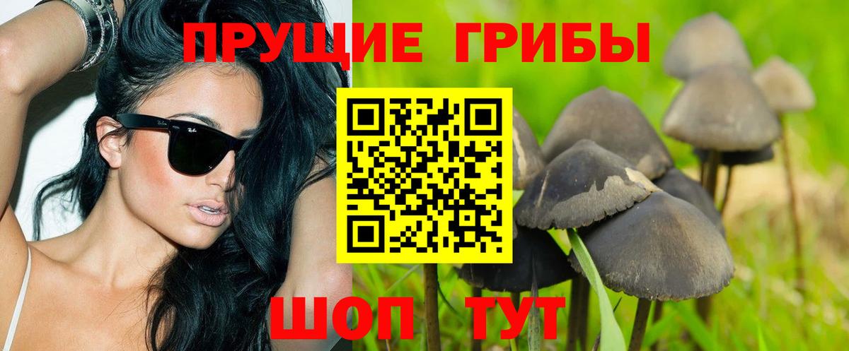 Псилоцибиновые грибы Cubensis  Вход с VPN  Уссурийск  Галлюциногенные грибы GOLDEN TEACHER 