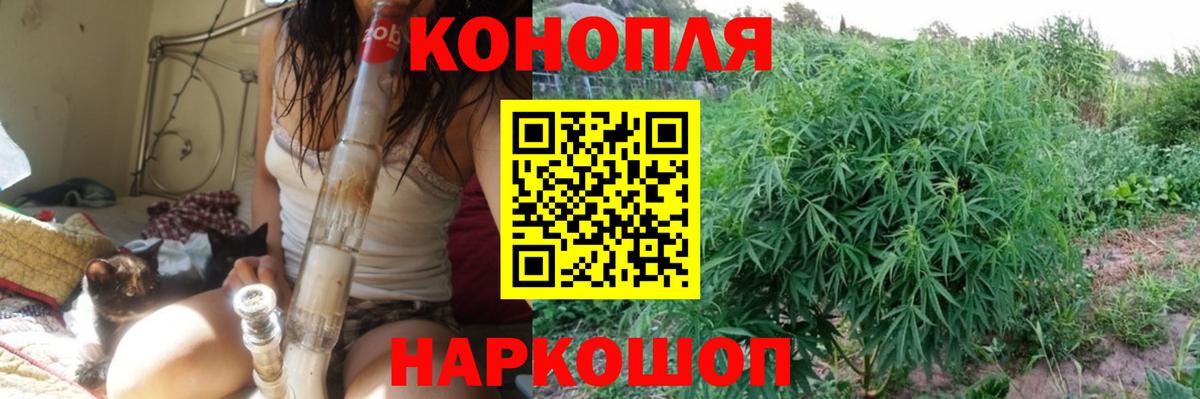 Конопля план  Вход с VPN  Уссурийск  Марихуана планчик  Марихуана тримм 